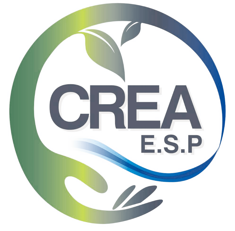 LOGO SIN FONDO